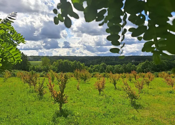 בית נופש Maly *